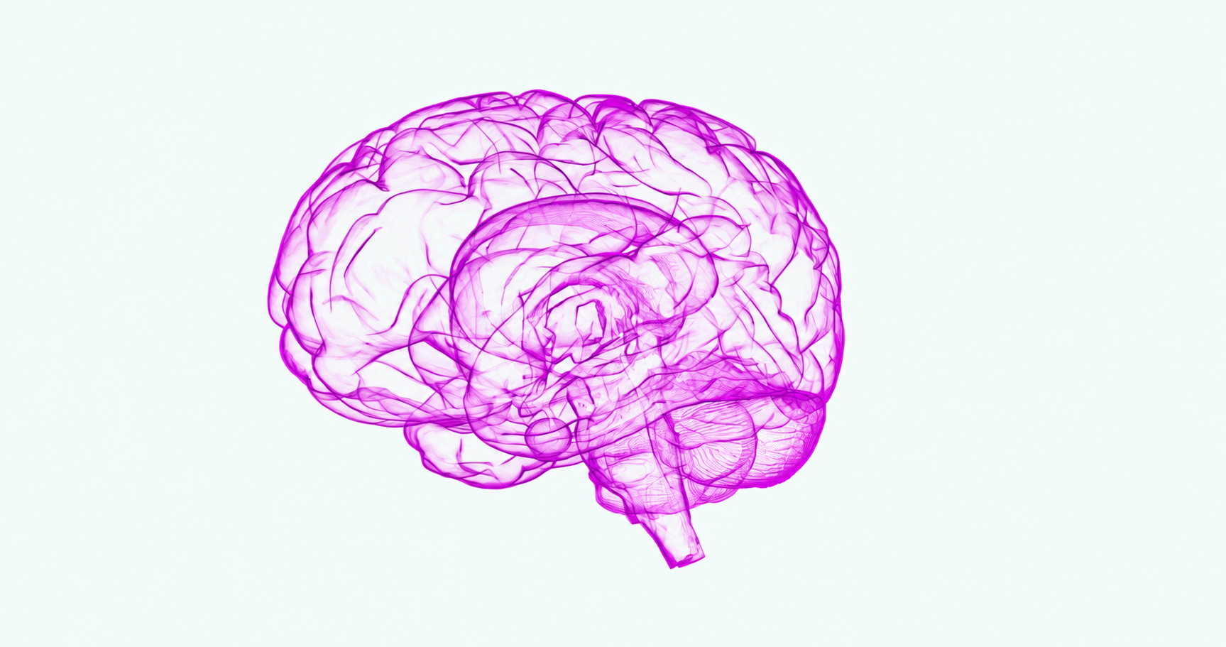 Ilustración del cerebro humano